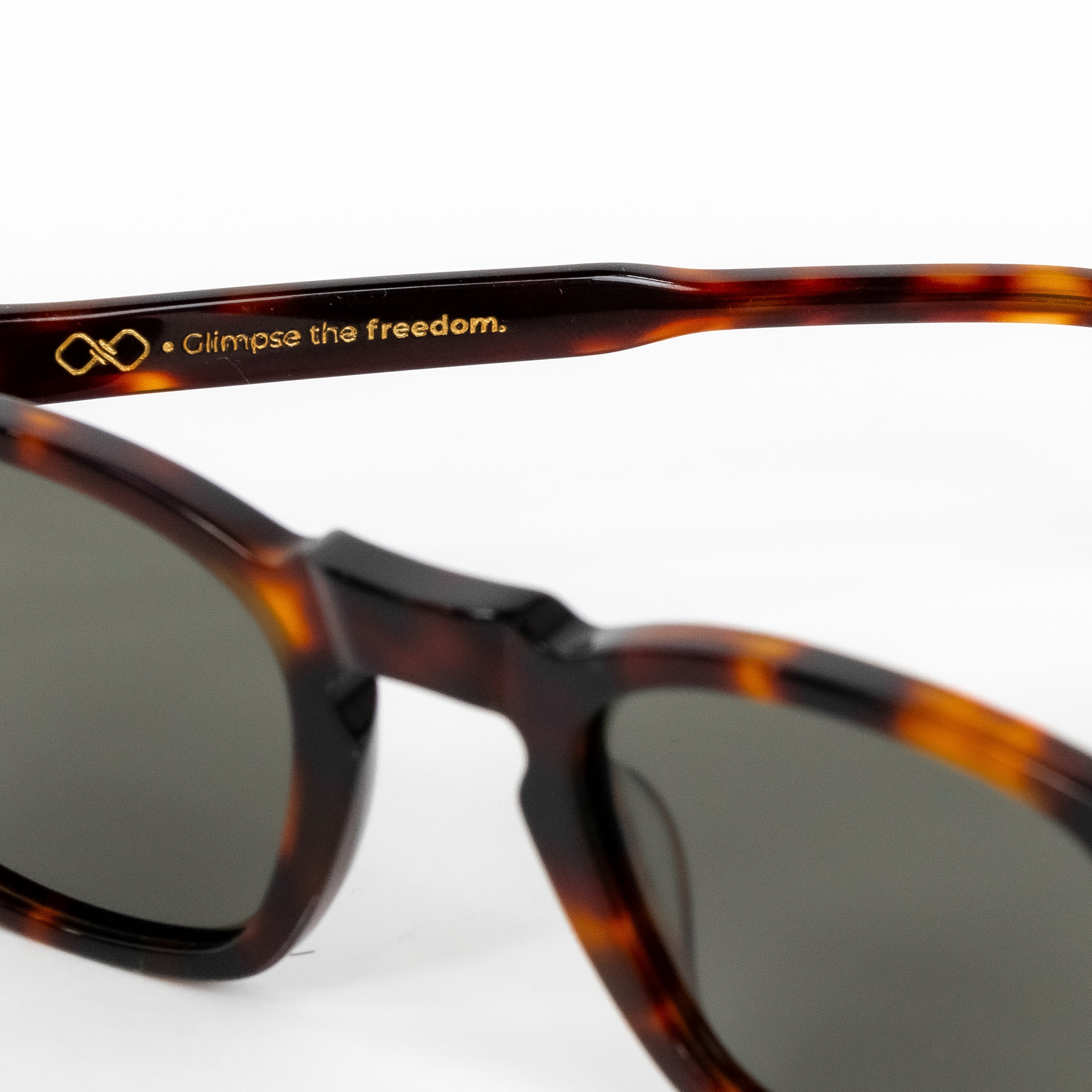 Times Tortoise Green - TheighT Sunglasses